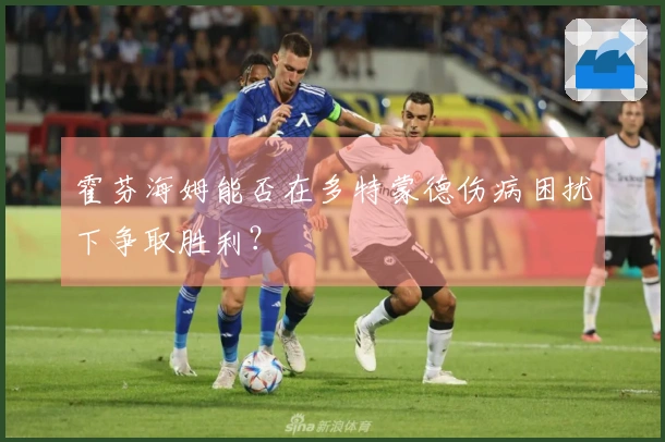 霍芬海姆能否在多特蒙德伤病困扰下争取胜利？