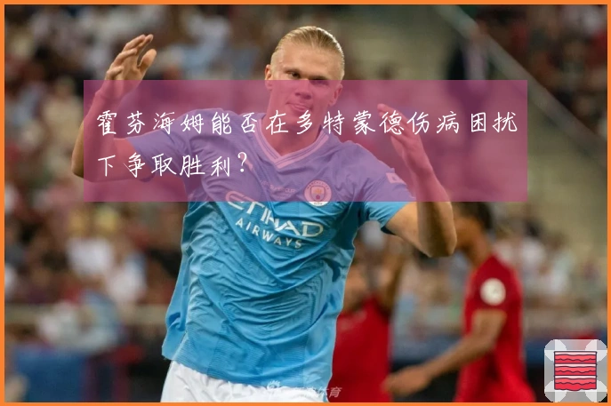 霍芬海姆能否在多特蒙德伤病困扰下争取胜利？